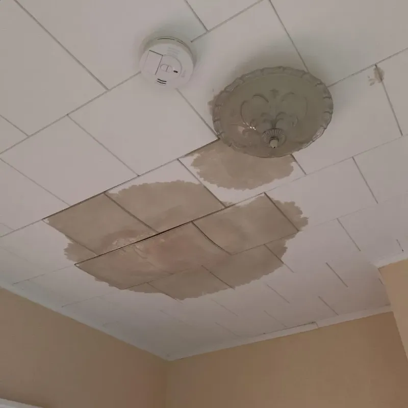 Ceiling Water Damage Repair in South Euclid, OH