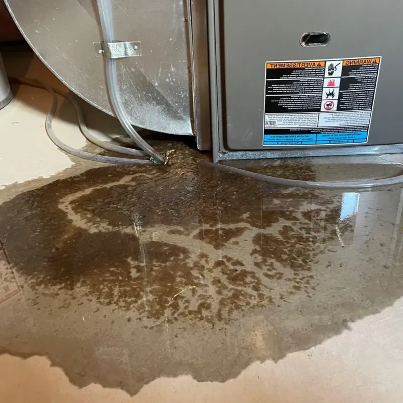 Pipe Burst and Leak Restoration in South Euclid, OH